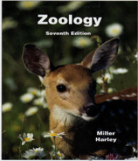 Image of ZOOLOGY