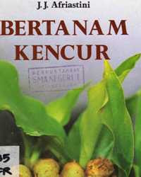 Image of BERTANAM KENCUR