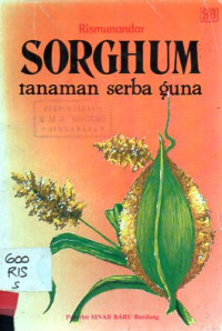 Image of Sorghum Tanaman Serba Guna