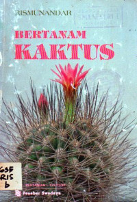 Image of Bertanam Katkus