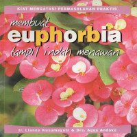 Image of Membuat Euphorbia Tampil Indah Menawan